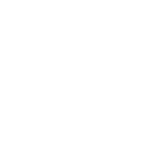 New Deposit Icon
