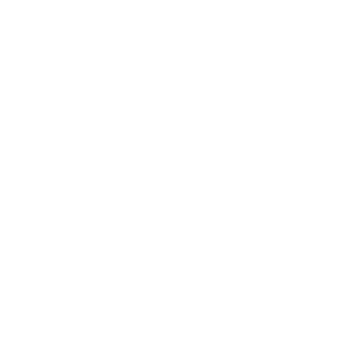 New Home Icon