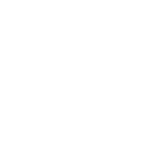 New Language Icon