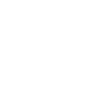 New Video Icon
