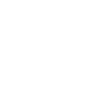 New VIP Icon